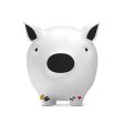 Disney Everyones Favourite Mouse Mickey Piggy Bank For Discount