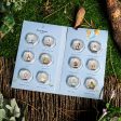 The World of Peter Rabbit 2023 Complete Coin Collection Sale